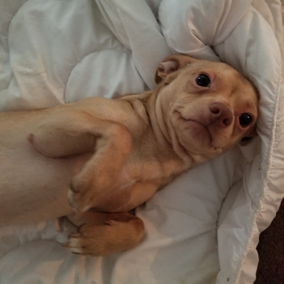 I'm Richard nice to meet you! - Picture 5 of 6